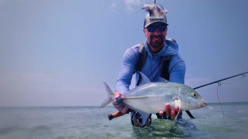 davied Bluefin.